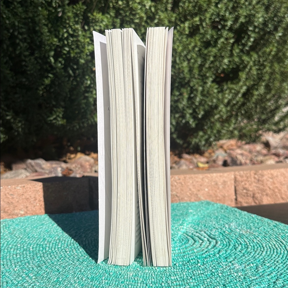 Book “Why Men Love…”-Sherry Agrov-brand new/never used-was a decoration. - Picture 6 of 17